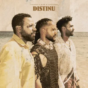 Calema ft. Dino d’Santiago – Distinu